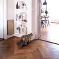 Warum Katzen an Möbeln kratzen und wie du deine Einrichtung retten kannst