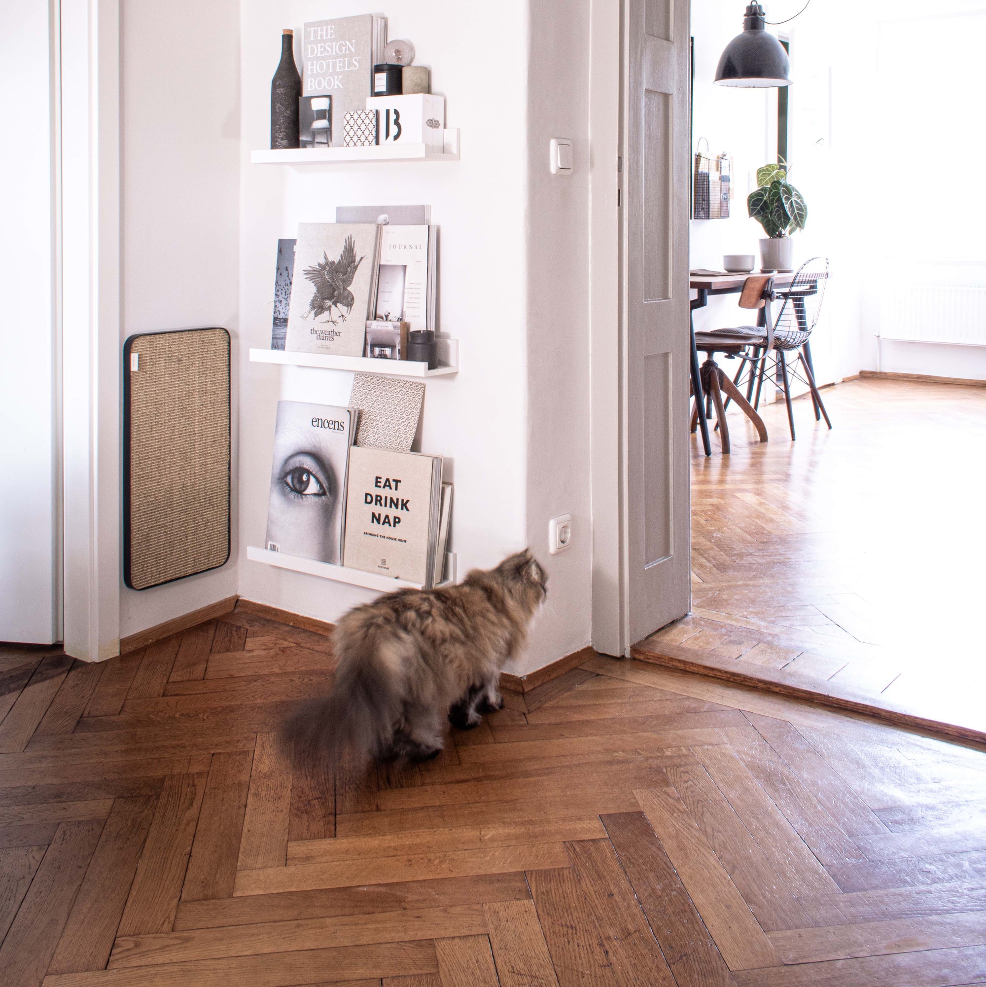 Katze Kratzwand