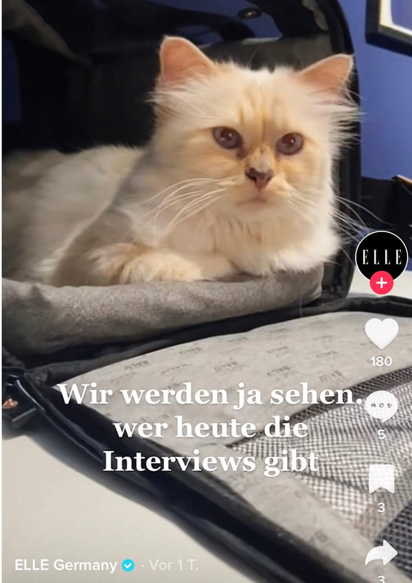 ELLE Germany - TikTok