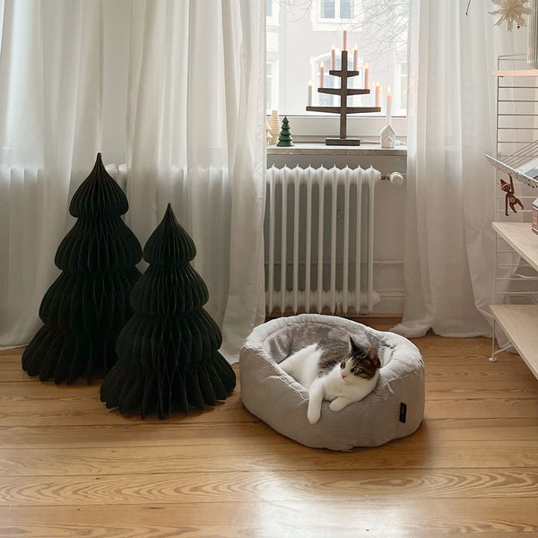 Des fêtes de fin d'année paisibles et un sapin de Noël sécurisé pour les chats