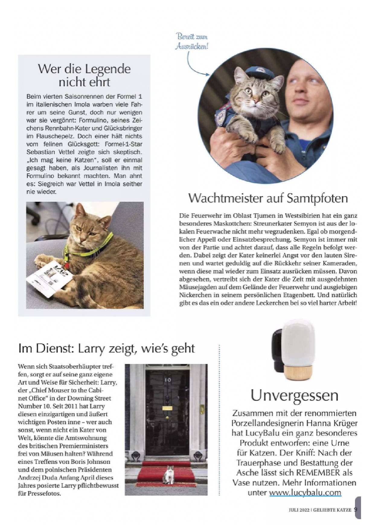 Artikelbild