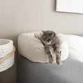 Urlaub mit Katze? Oder lieber ohne? – So planst du richtig