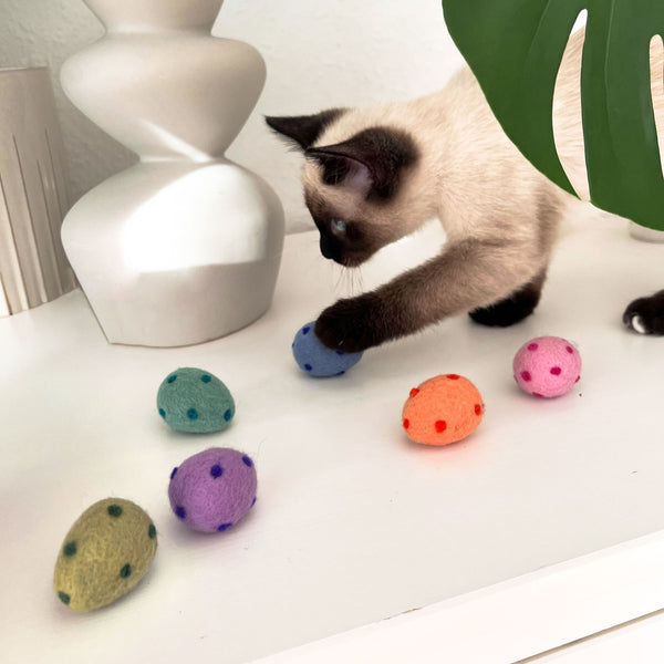 Ostern mit Katze – So machst Du das Fest auch für Deine Samtpfote besonders