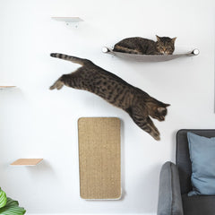 Katzensichere Wohnung: Gefahren erkennen und vermeiden