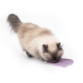 Schleckmatte für Katzen: Mehr als nur Leckerbissen