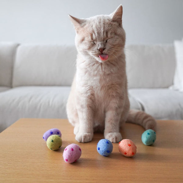 Pâques avec ton chat : comment rendre cette fête encore plus spéciale pour ton compagnon félin ?