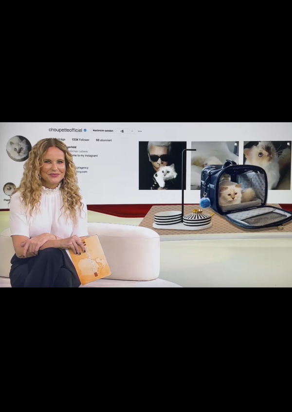 RTL - Punkt 12