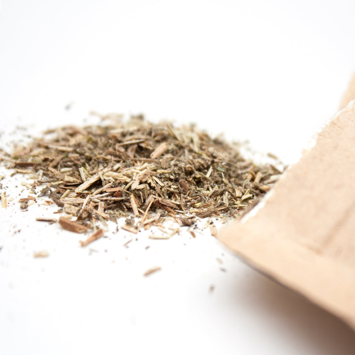 Cat Mint LucyBalu
