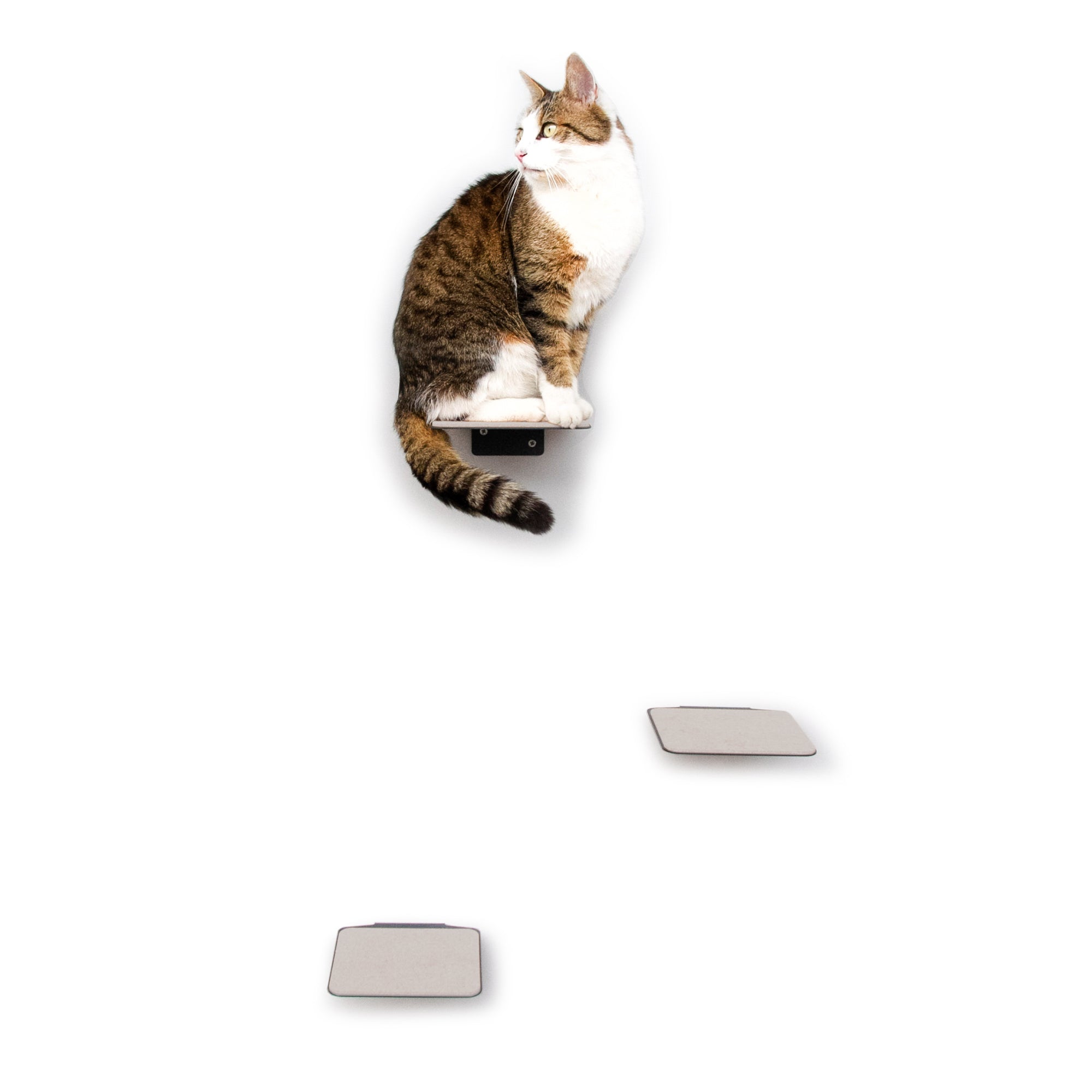 Metall Katzenstufen XL