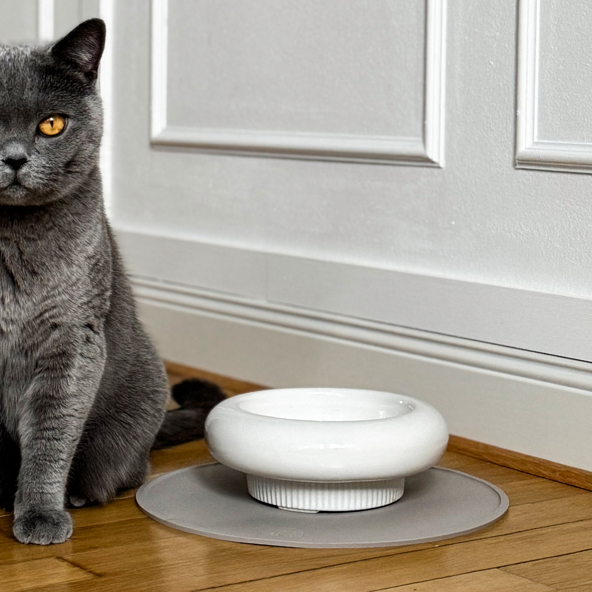 MYCO cat bowl