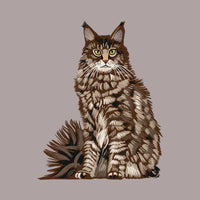 Maine Coon