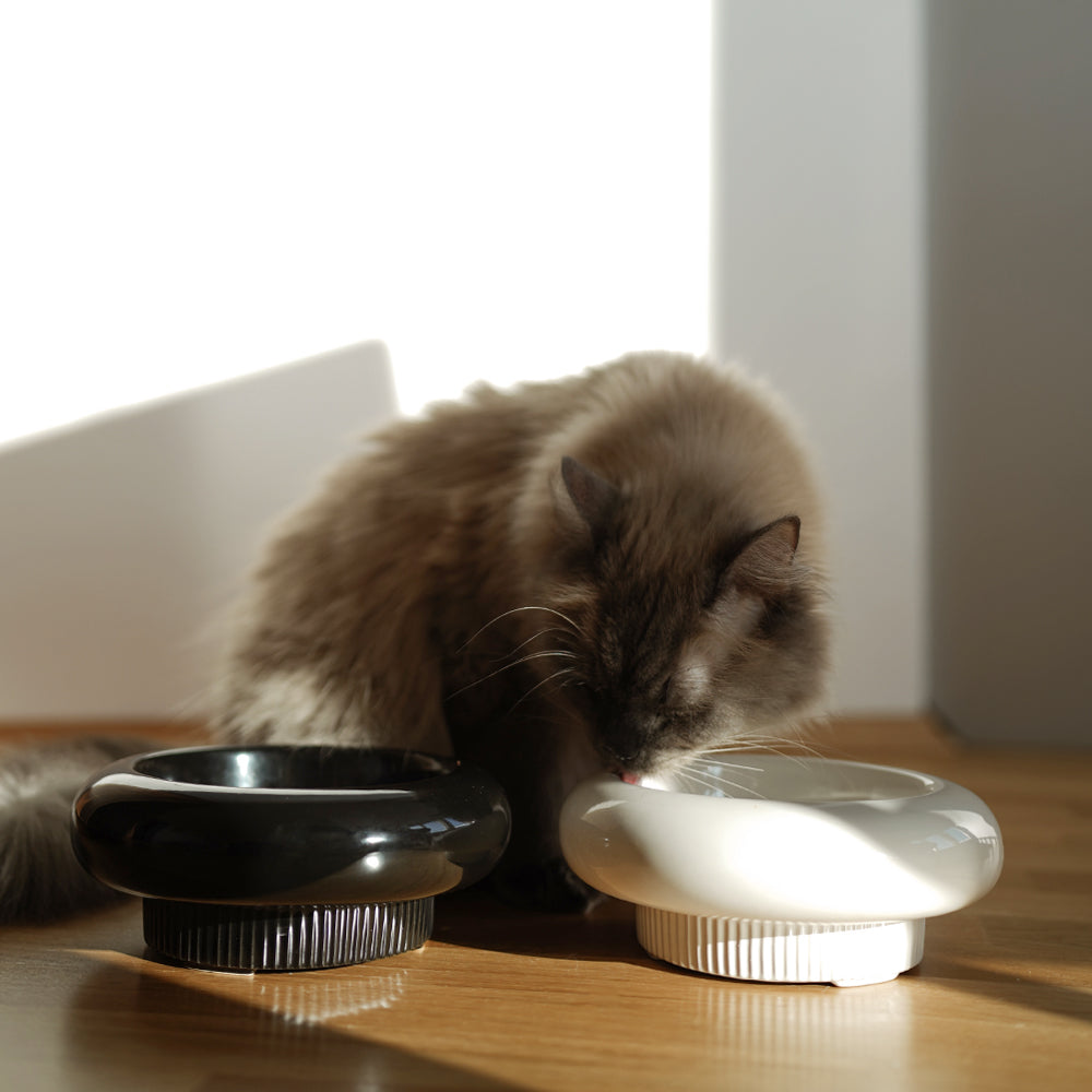 MYCO cat bowl