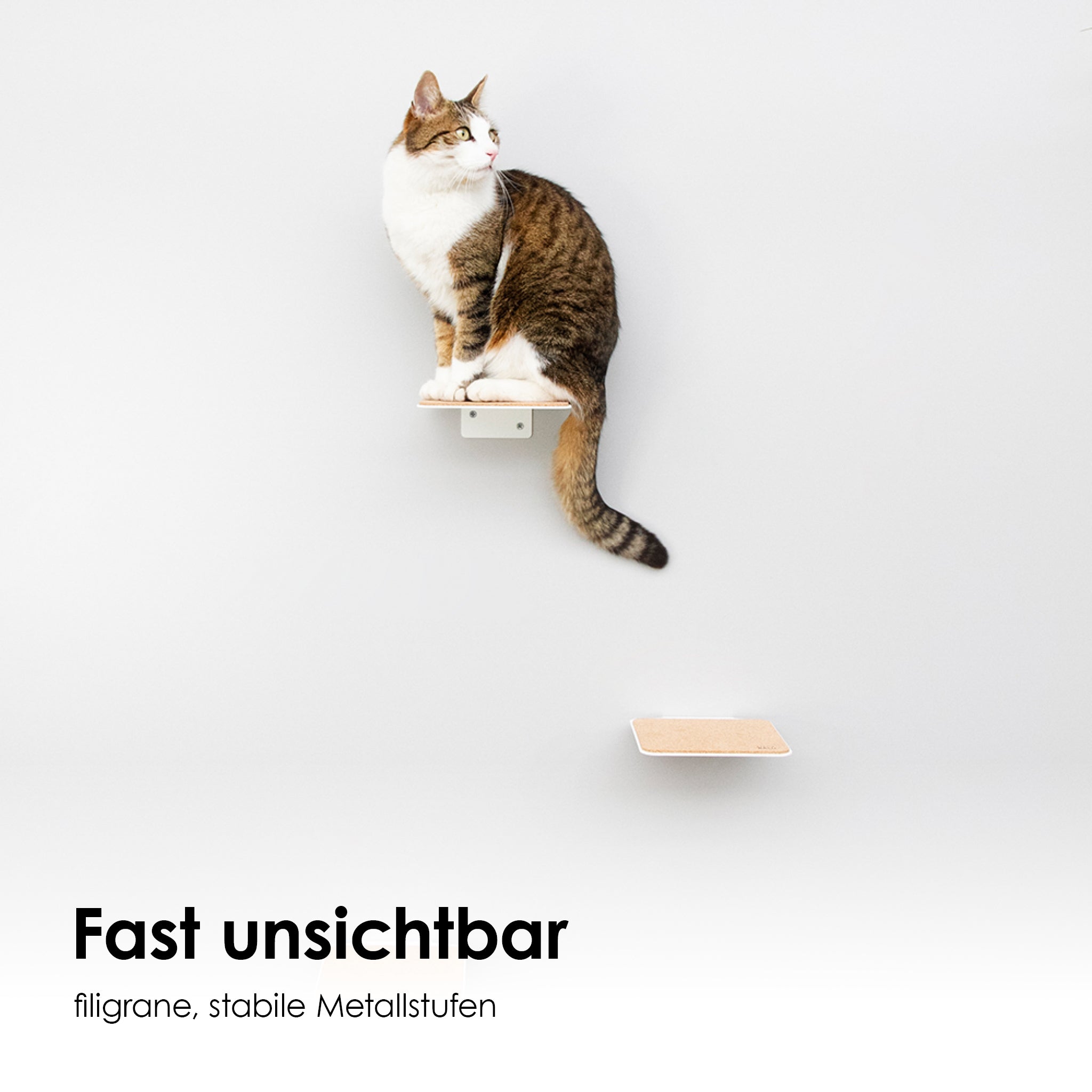 Große Katzenstufen für Katzentreppe Weiß