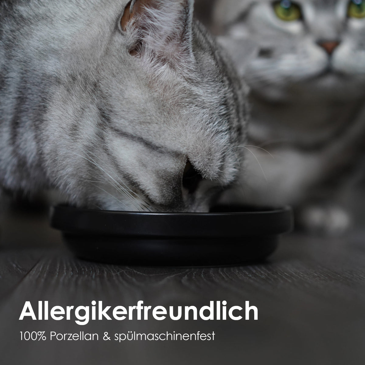 Allergikerfreundlicher Napf