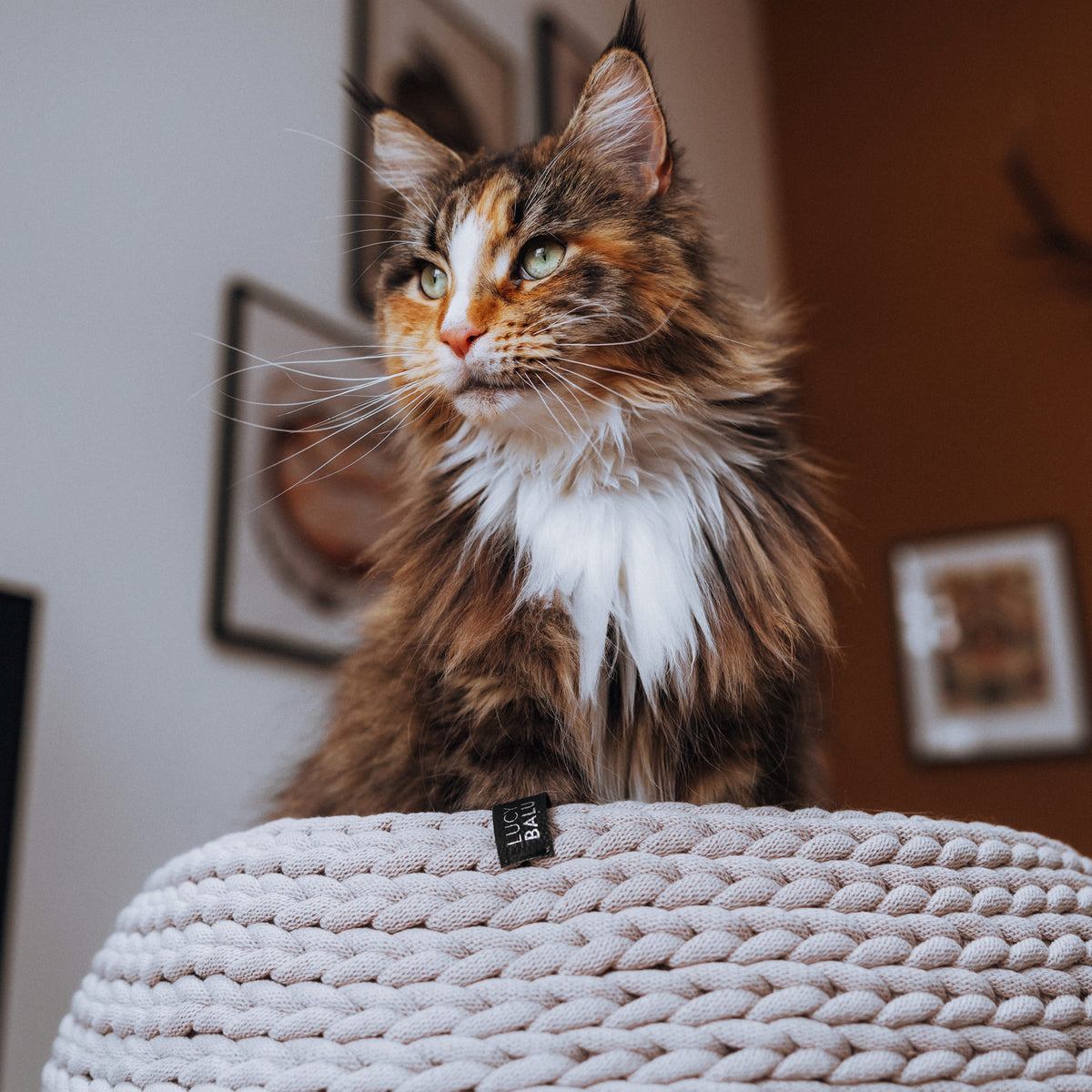 BASKET Gebreid Kattenbed