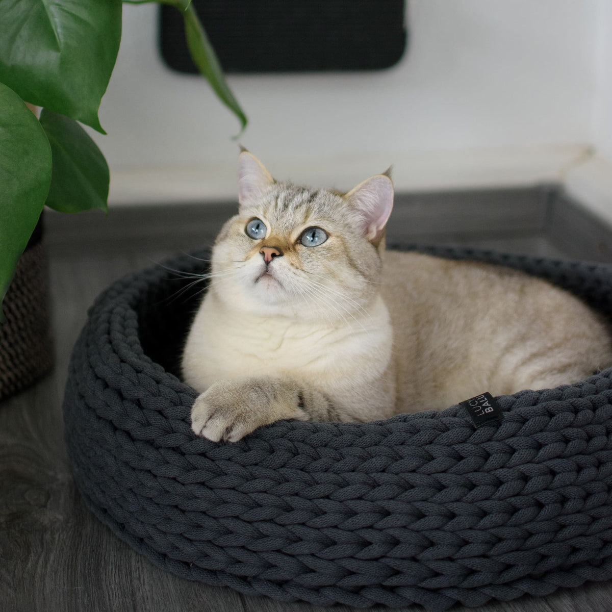 BASKET Gebreid Kattenbed