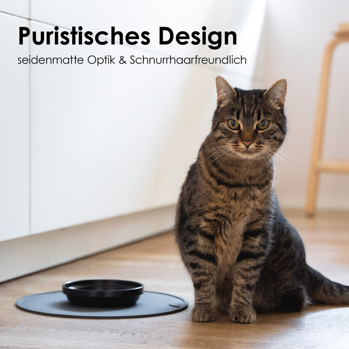 Design Futternapf