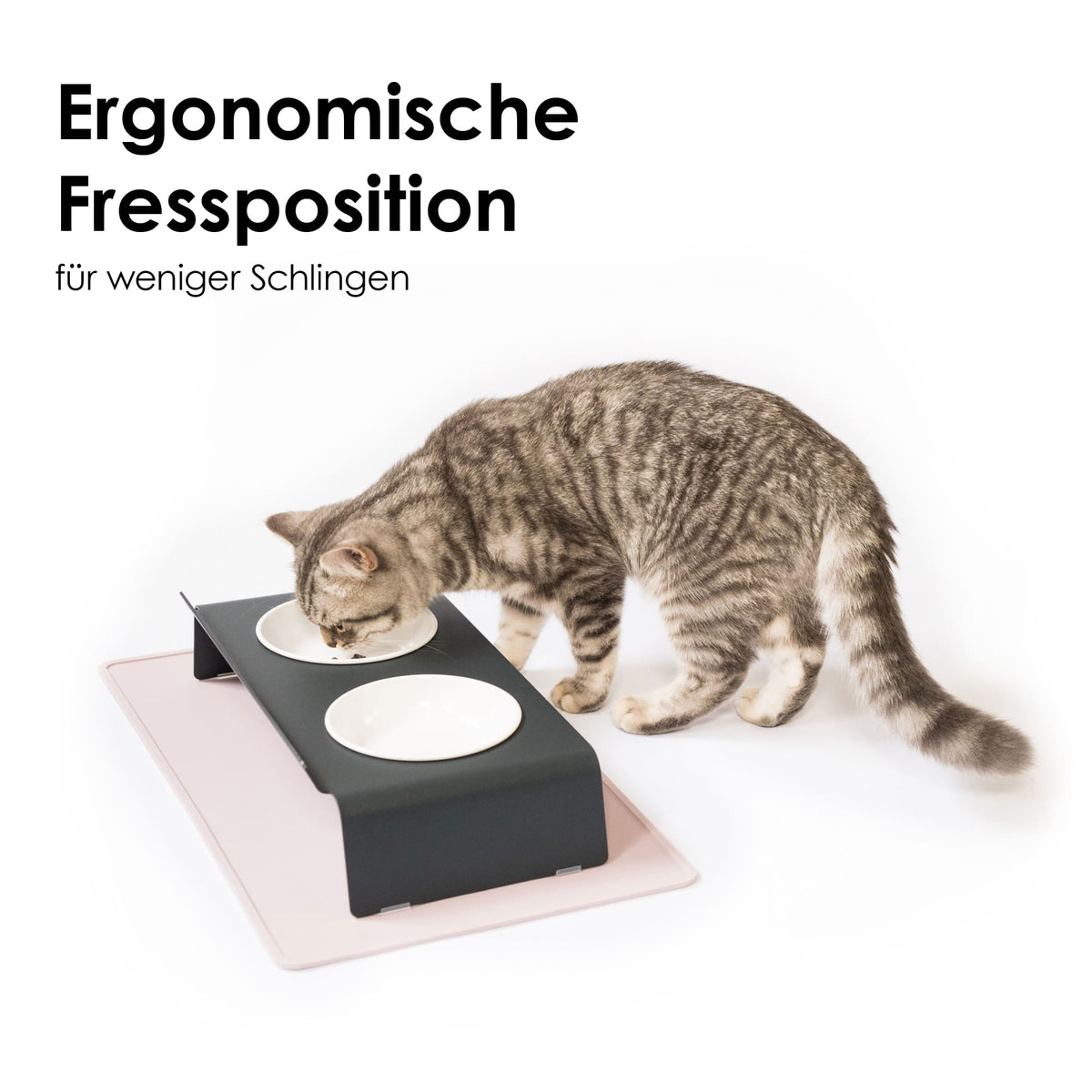 ergonomischer Futternapf für Katzen