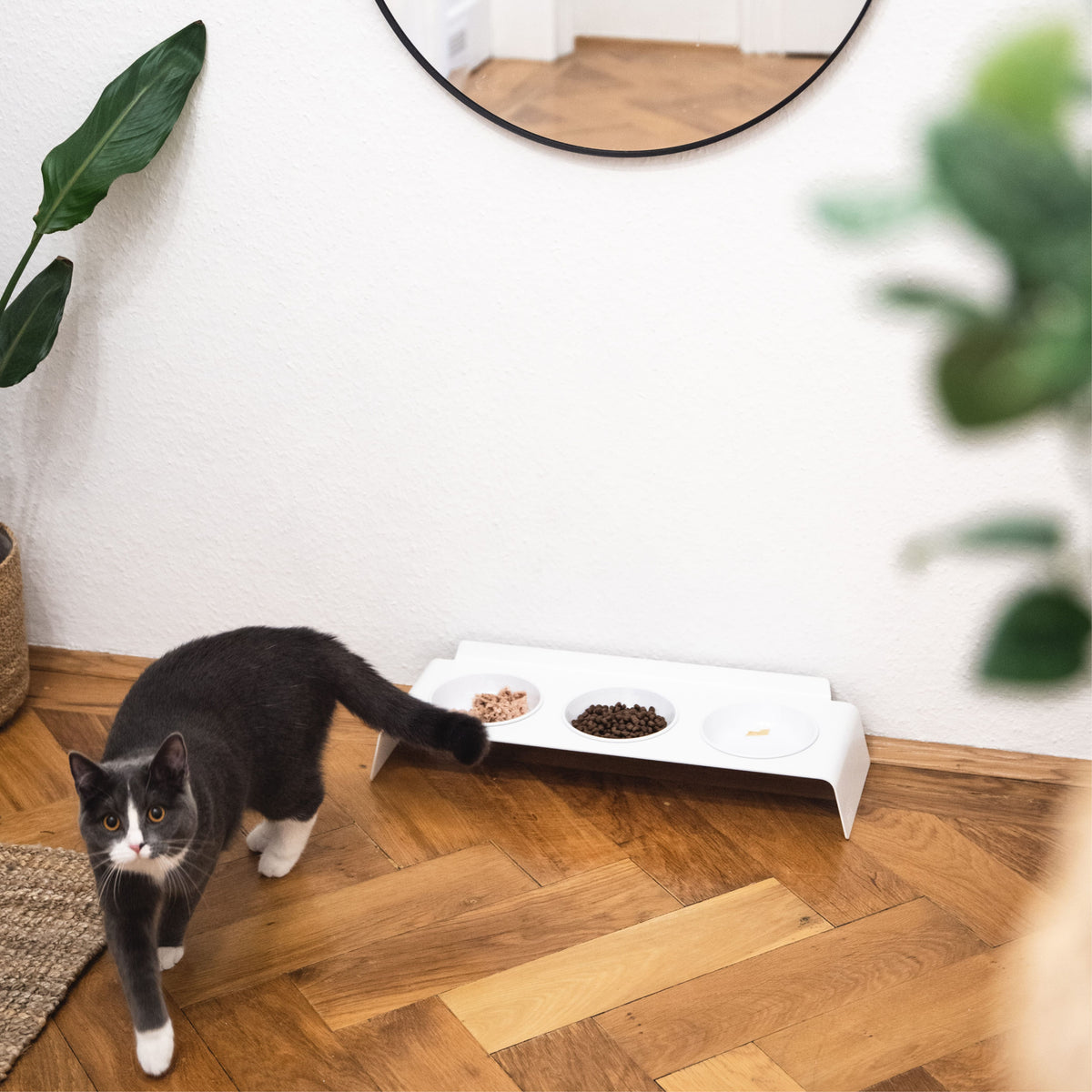 BUFFET Futterstation