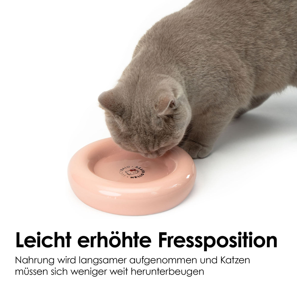 leicht erhöhter Katzennapf