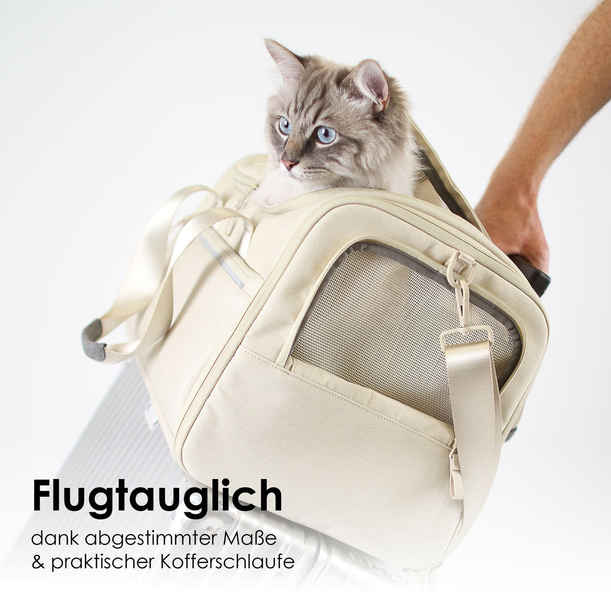 CHECK-IN Cat carrier bag