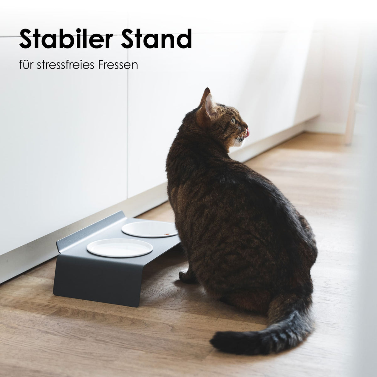 stabiler Katzen Futternapf