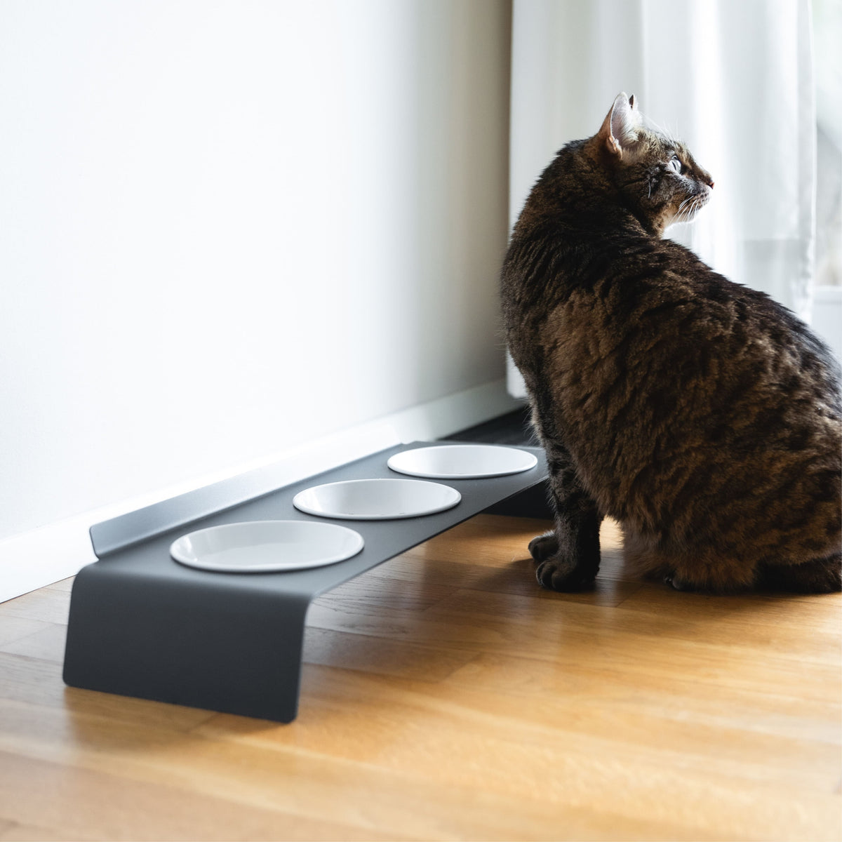 BUFFET Futterstation