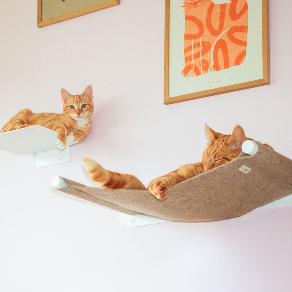 Cat hammock SWING