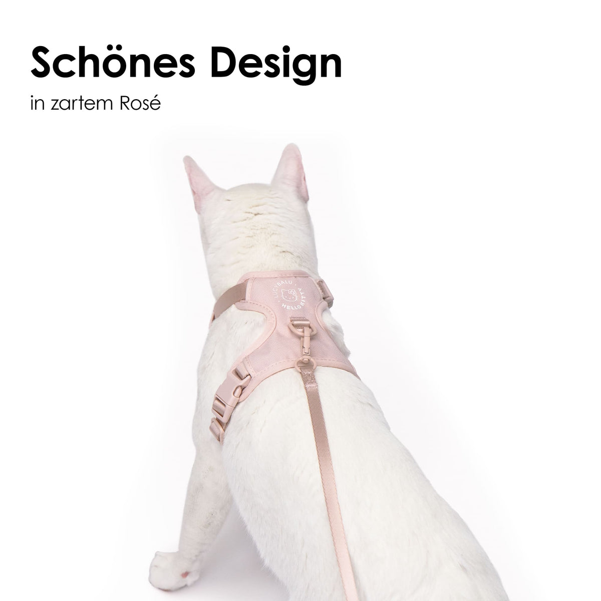 Katzengeschirr in schönem Design