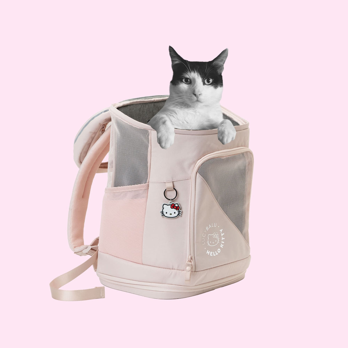 Hello Kitty X LucyBalu Rucksack in rose