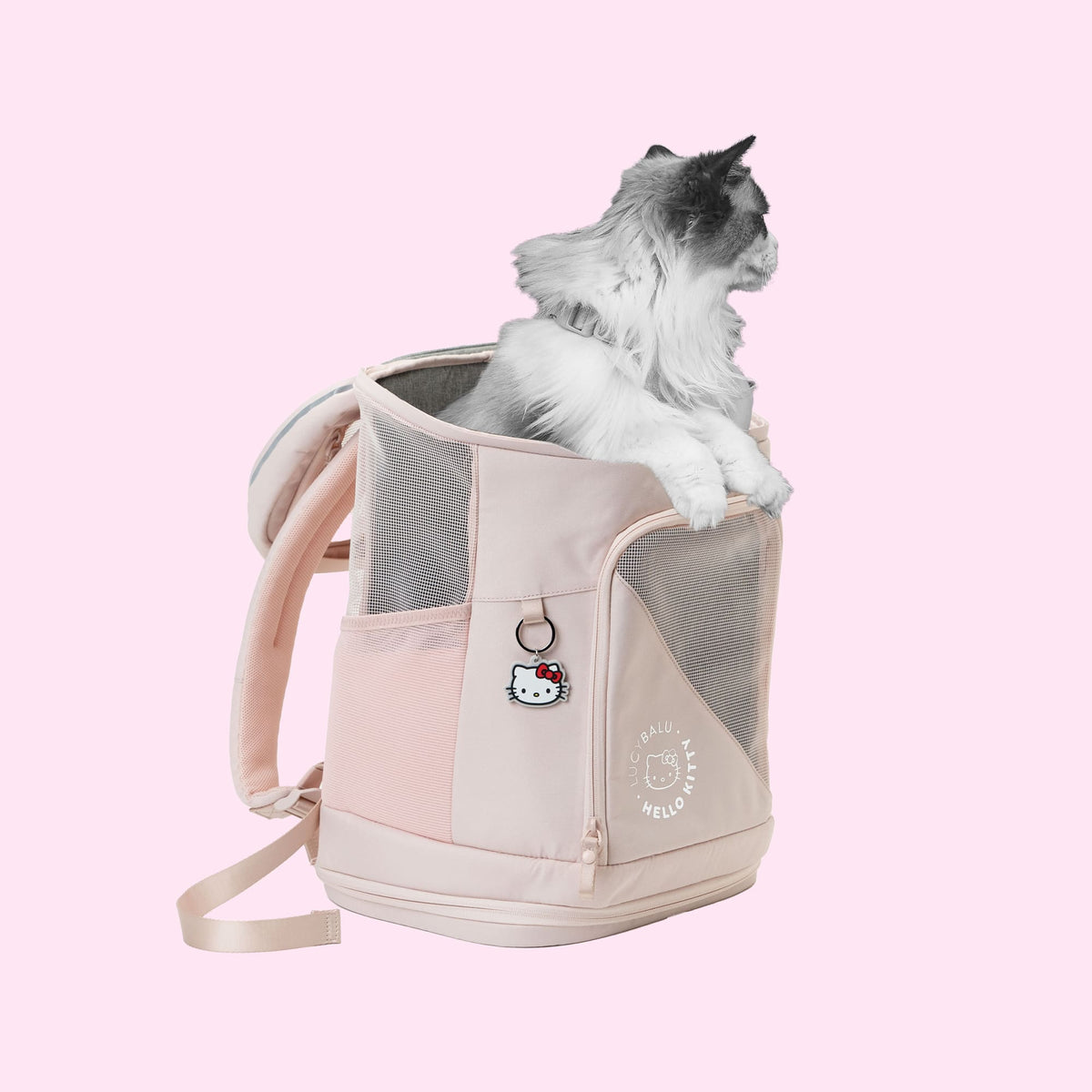 Hello Kitty X LucyBalu Rucksack in rose