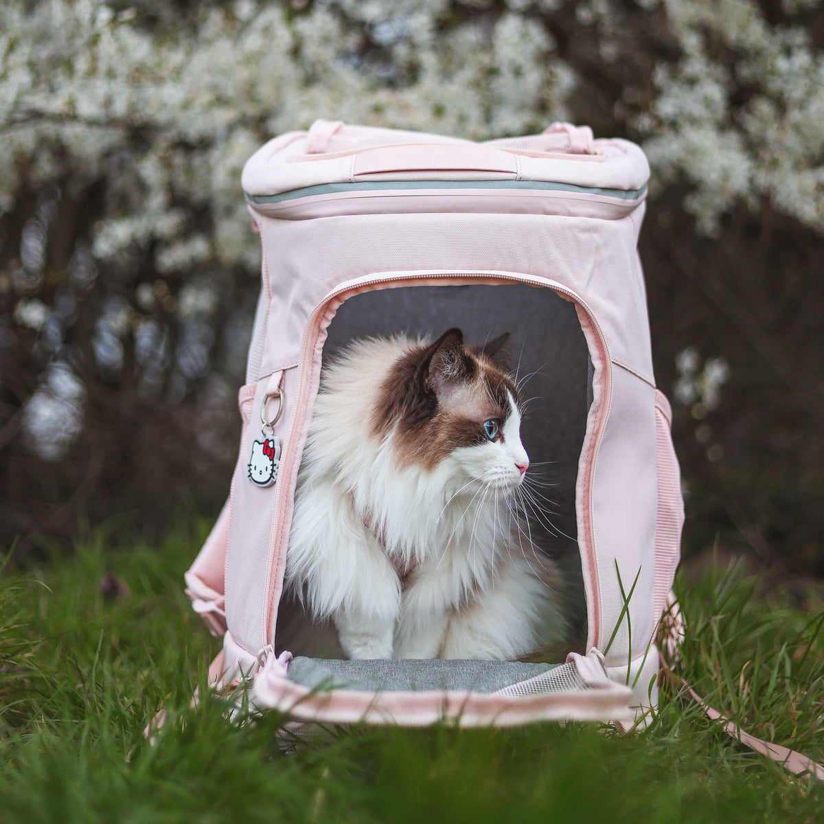 HOP-ON Sac à dos pour chat - Édition Hello Kitty