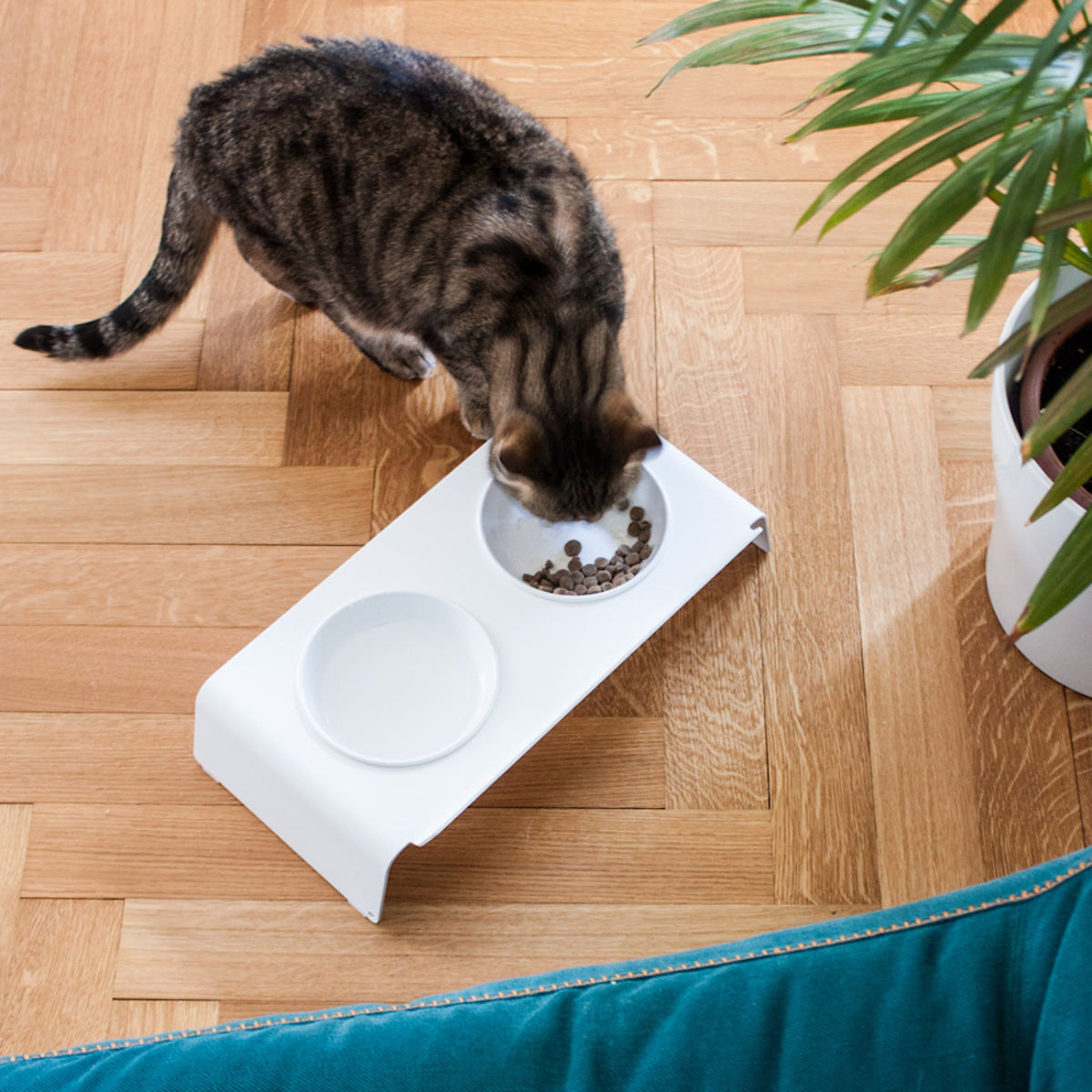 Feeding station &amp; place mat set