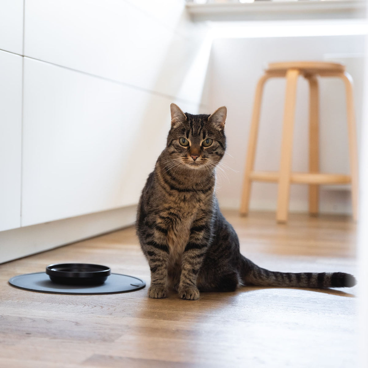 CIRCLE Kattenbakmat