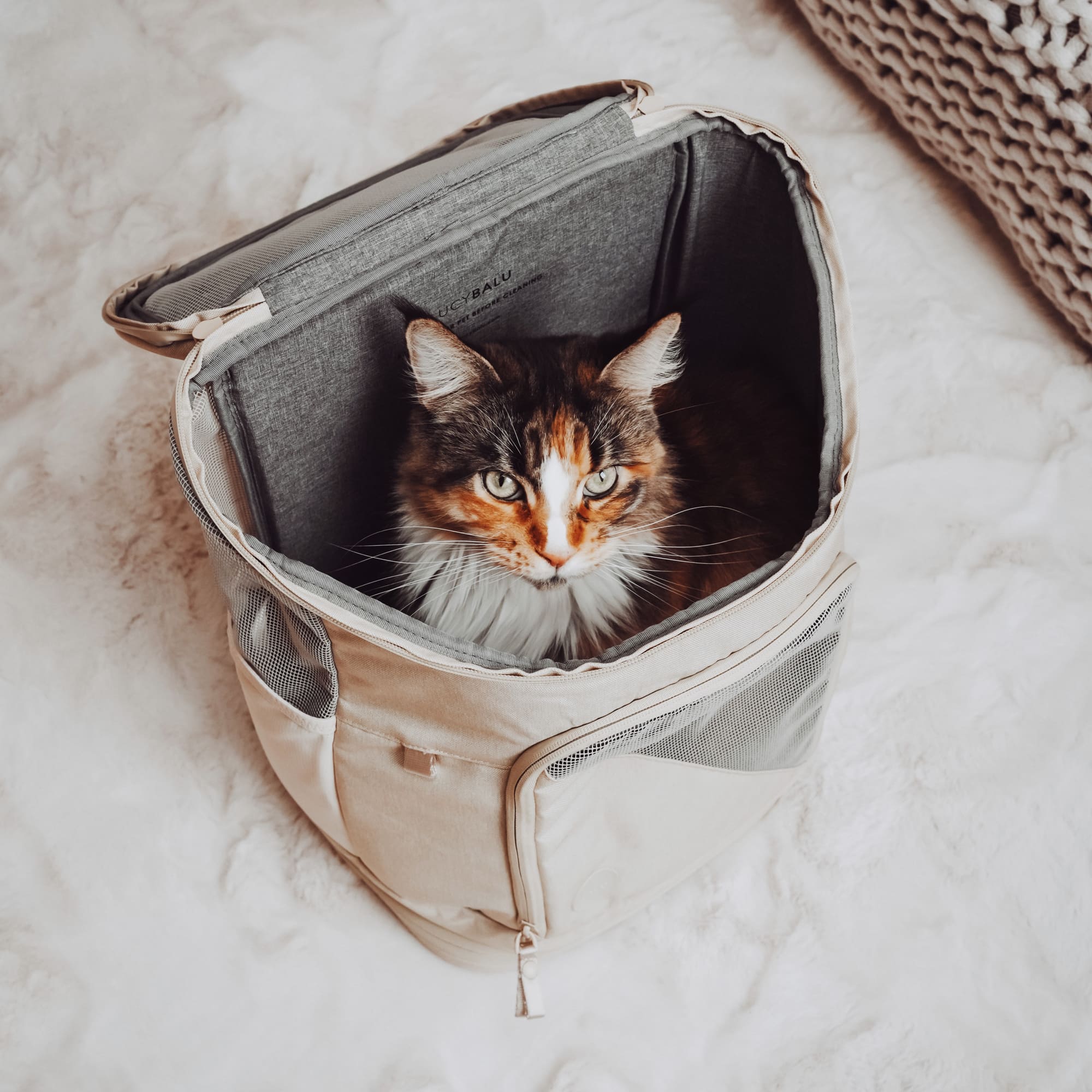 HOP-ON Cat Backpack