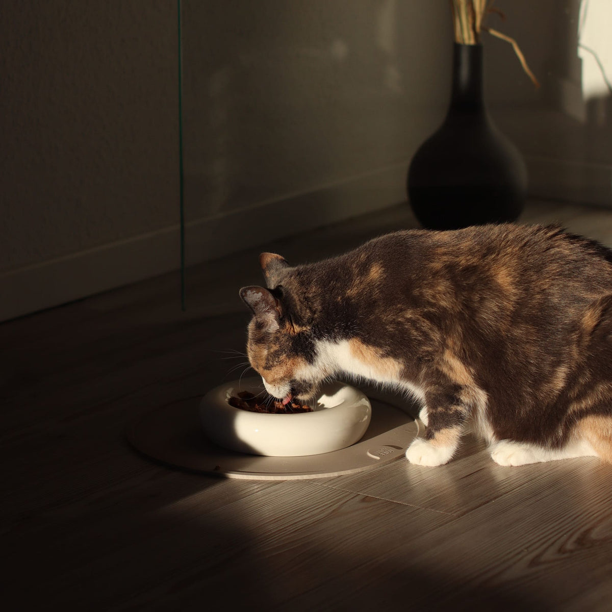 DROP cat food bowl