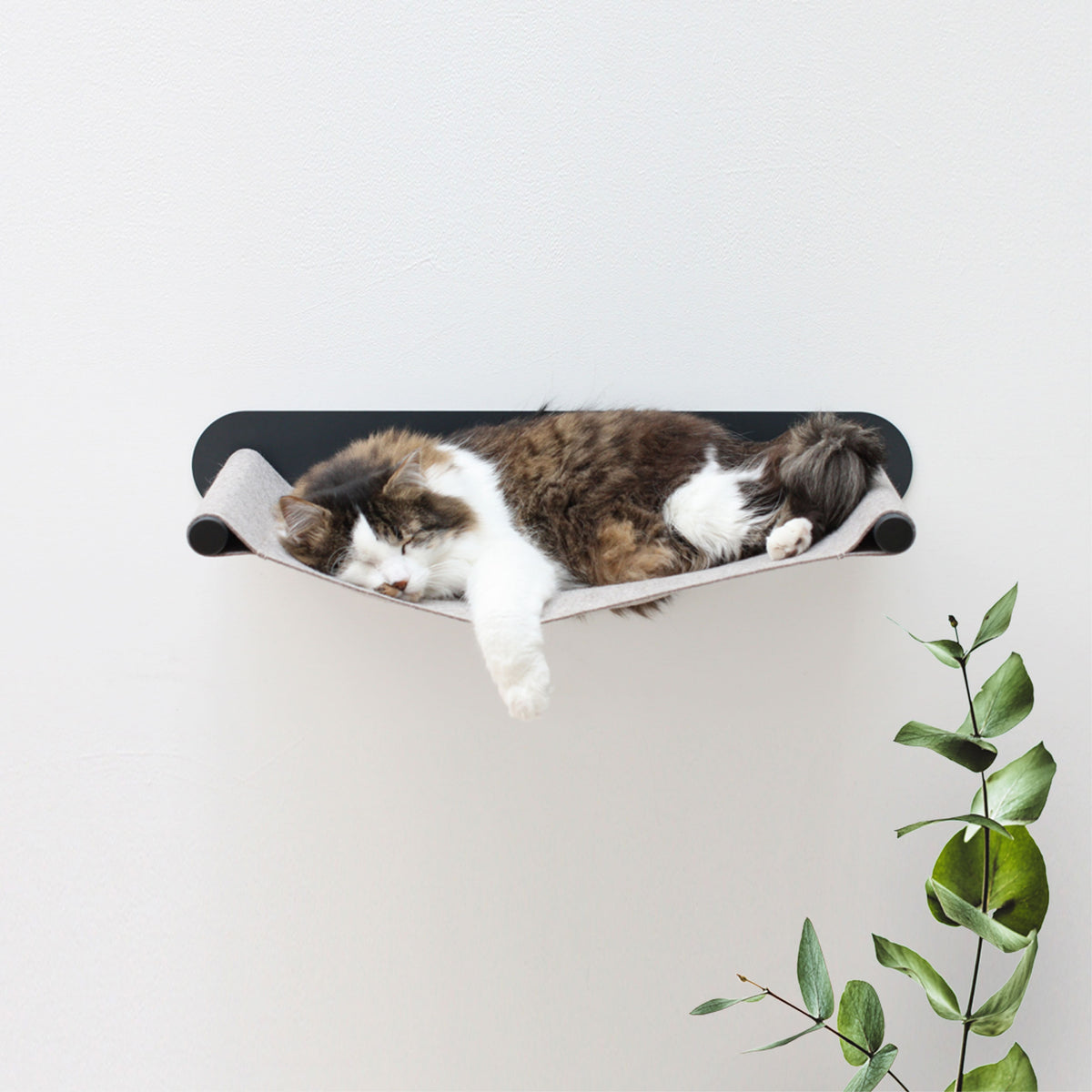 Cat hammock SWING