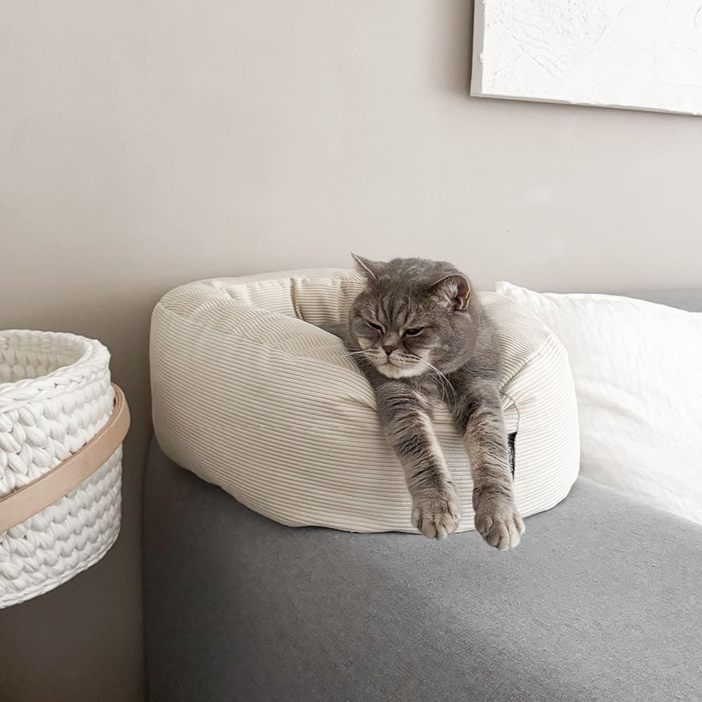 DINGHY cat bed