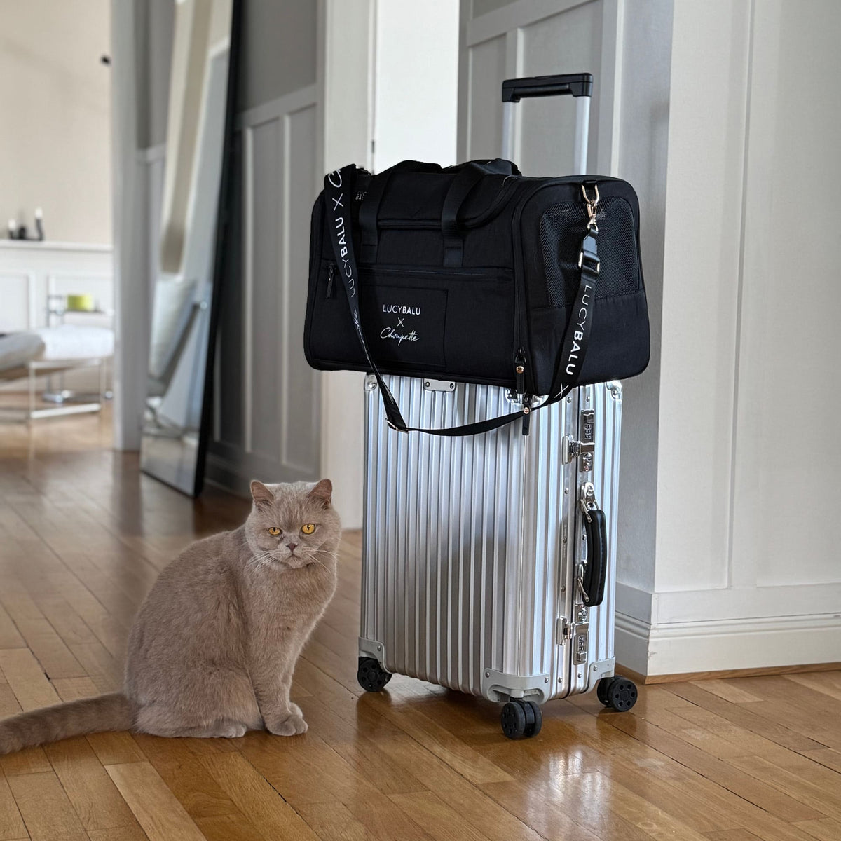 CHECK-IN Sac de transport | Édition Choupette