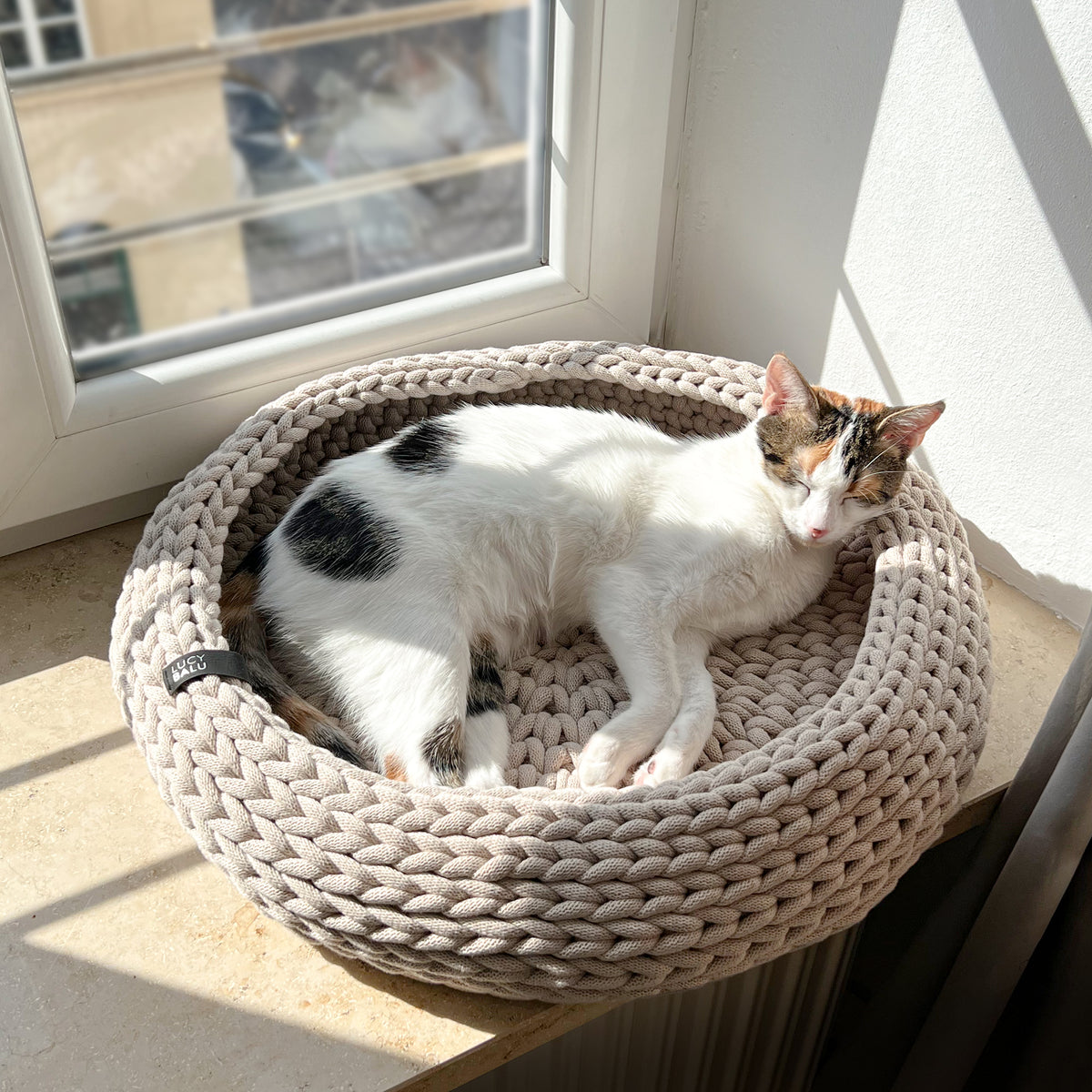 Katzenbett mit Katze auf Fensterbrett