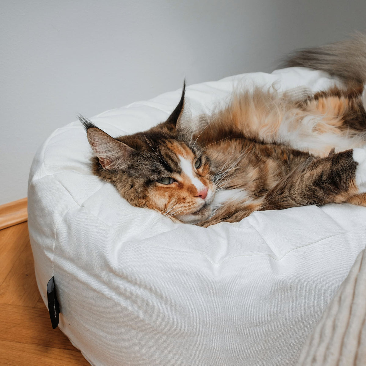 DINGHY Panier pour chat