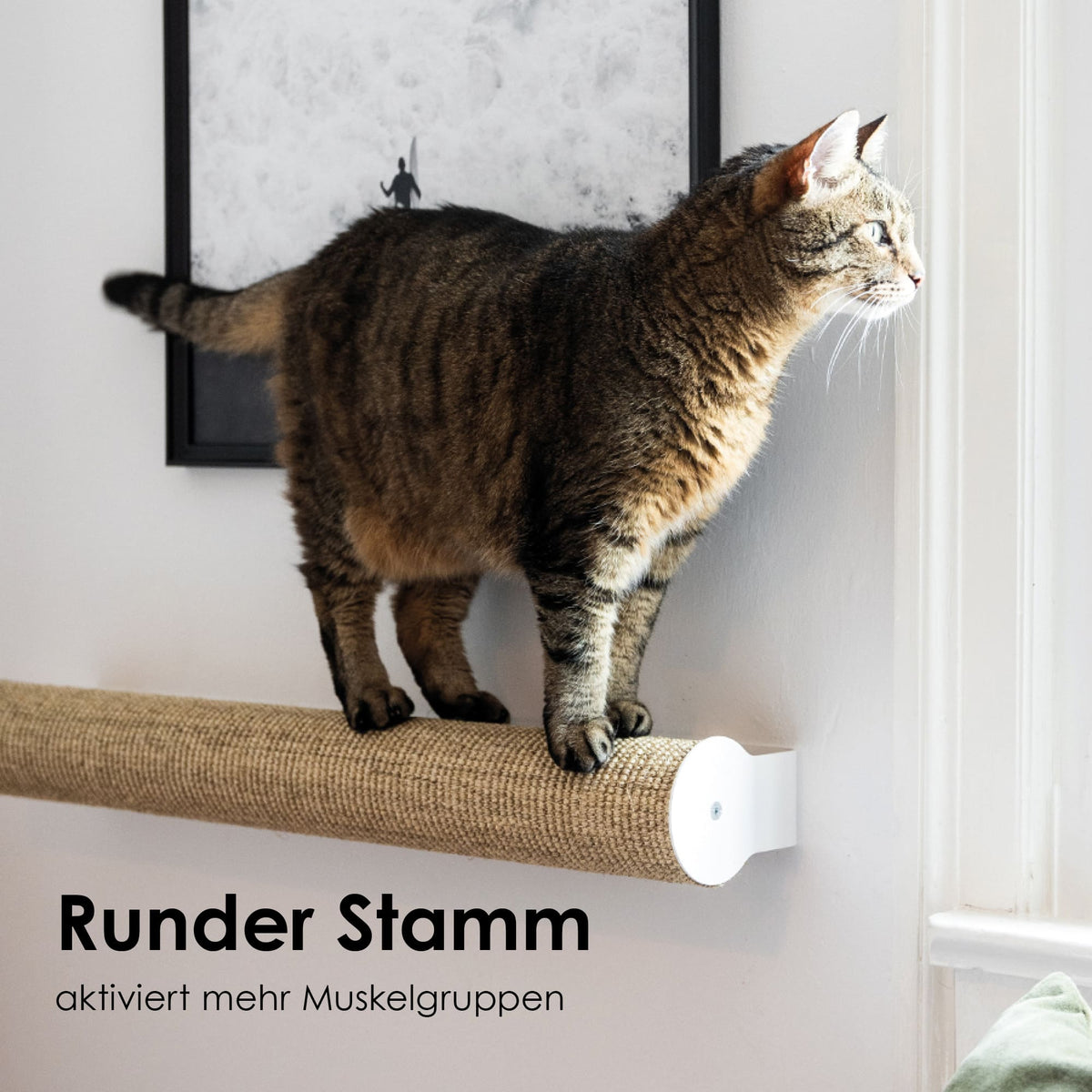 Runder Katzen Kratzstamm