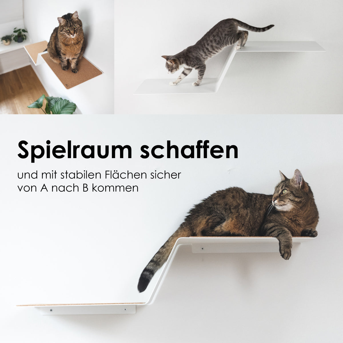 Katzenstufe für die Wand