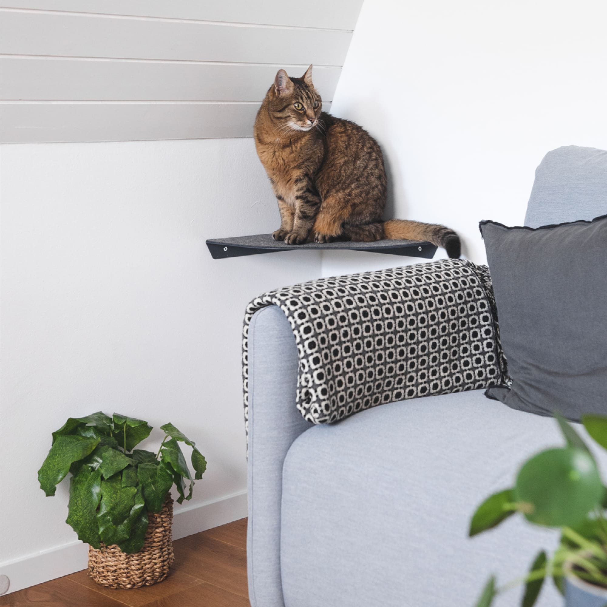 CORNER Cat Lounger & Climbing Step for the Corner