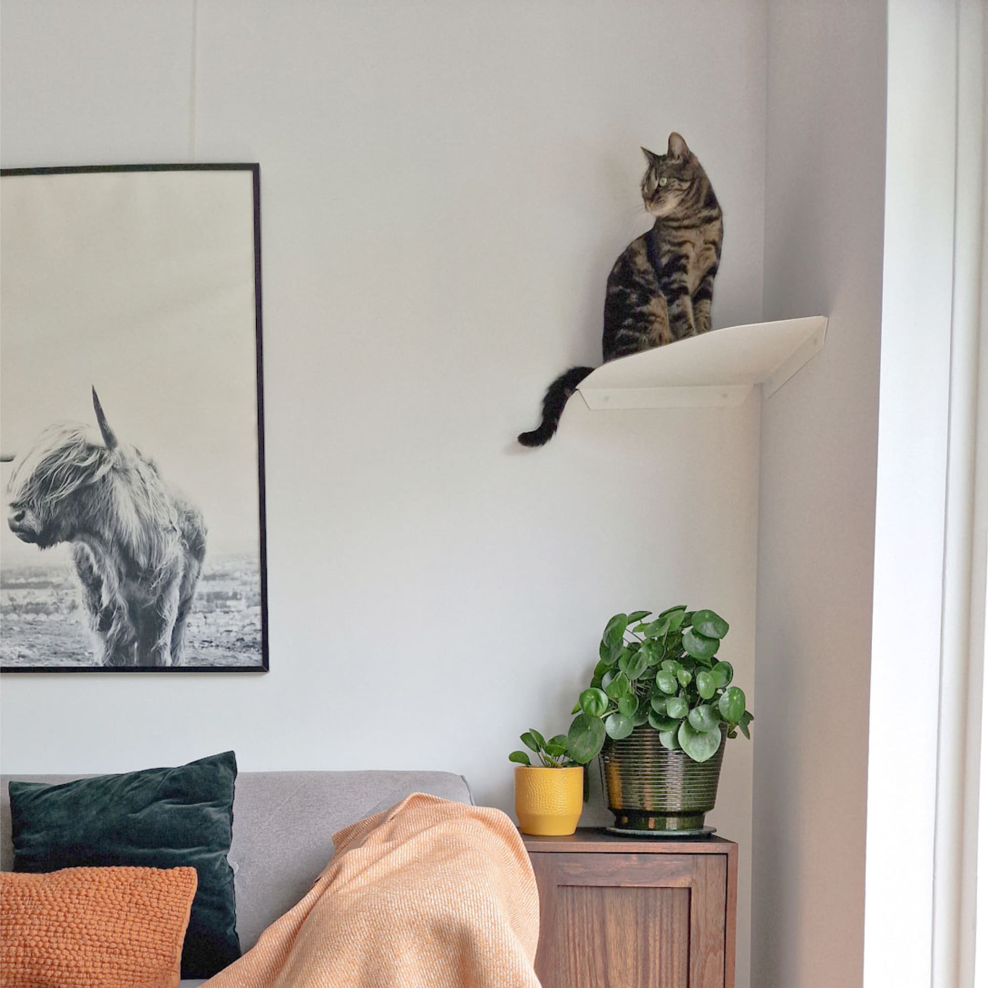 CORNER Cat Lounger & Climbing Step for the Corner