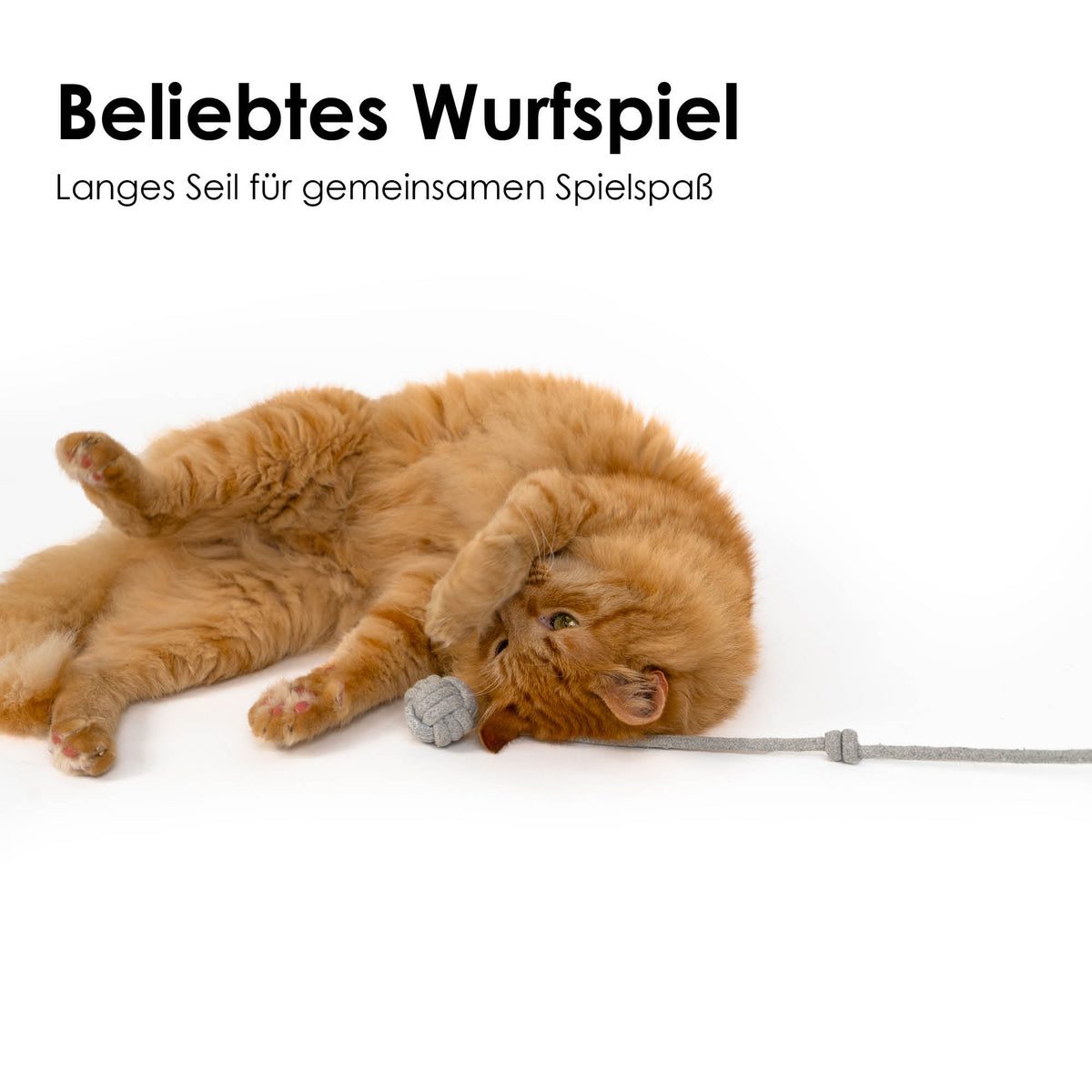 Katzen Spielzeug