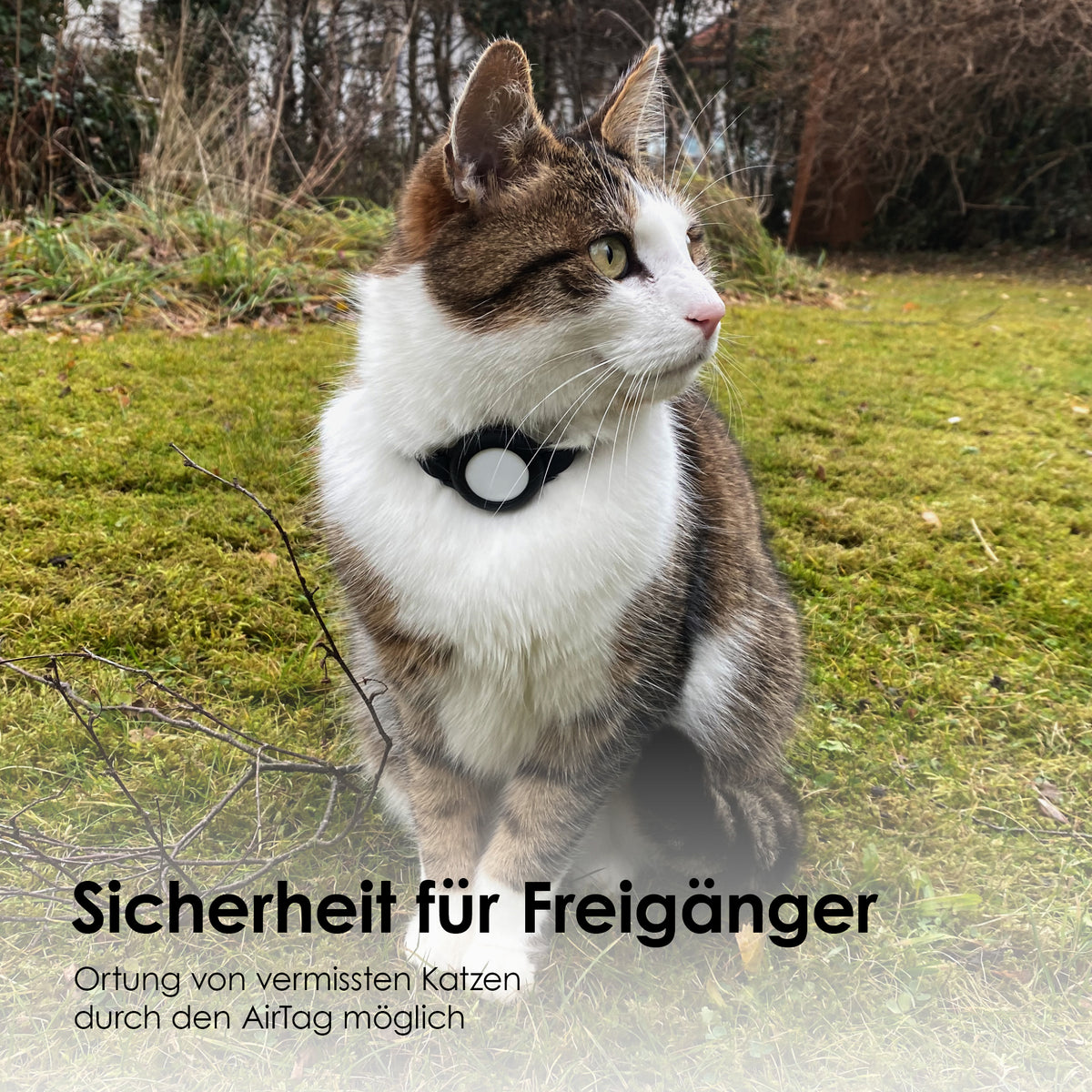 AirTag Halsband Freigänger Katze