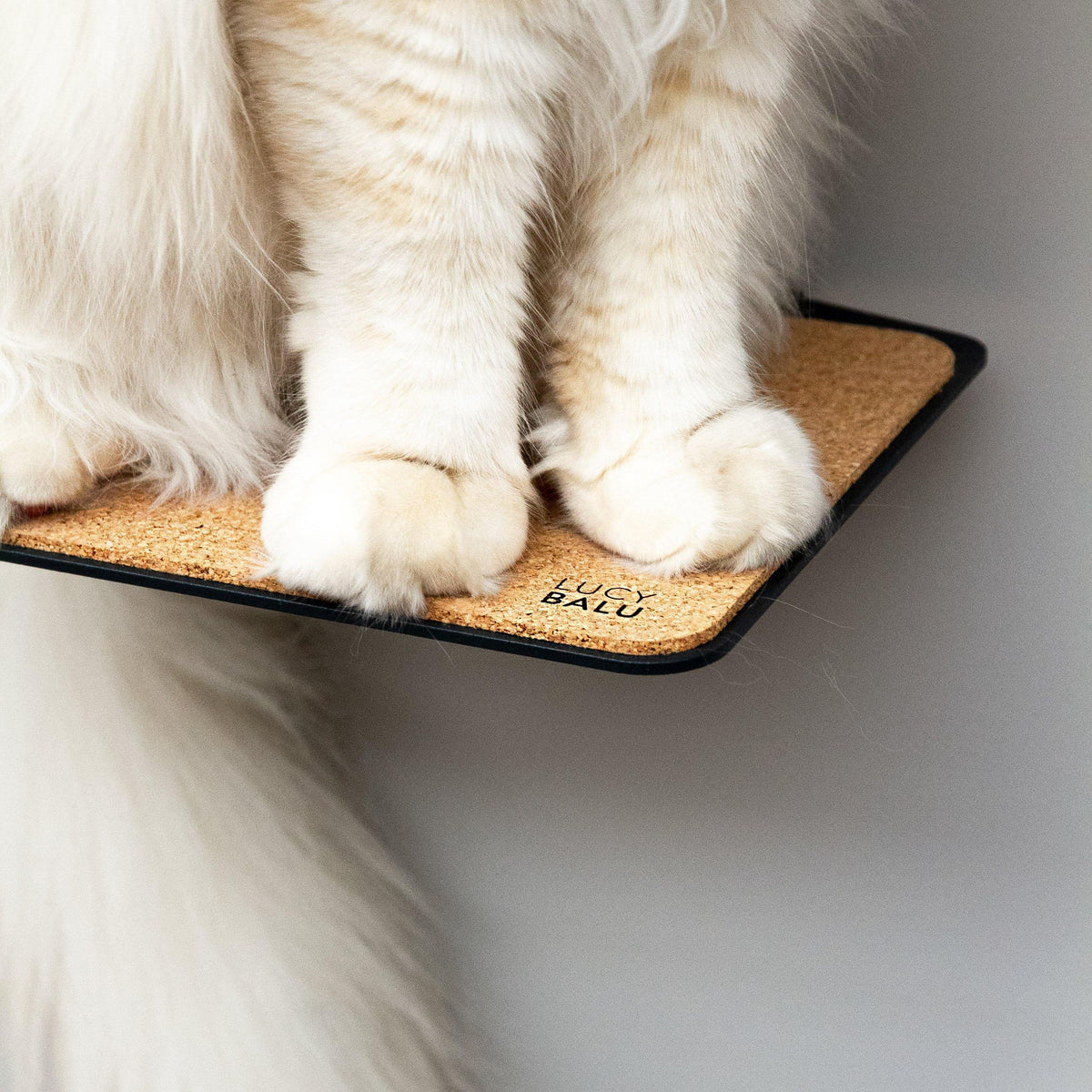 Design Katzen Stufe