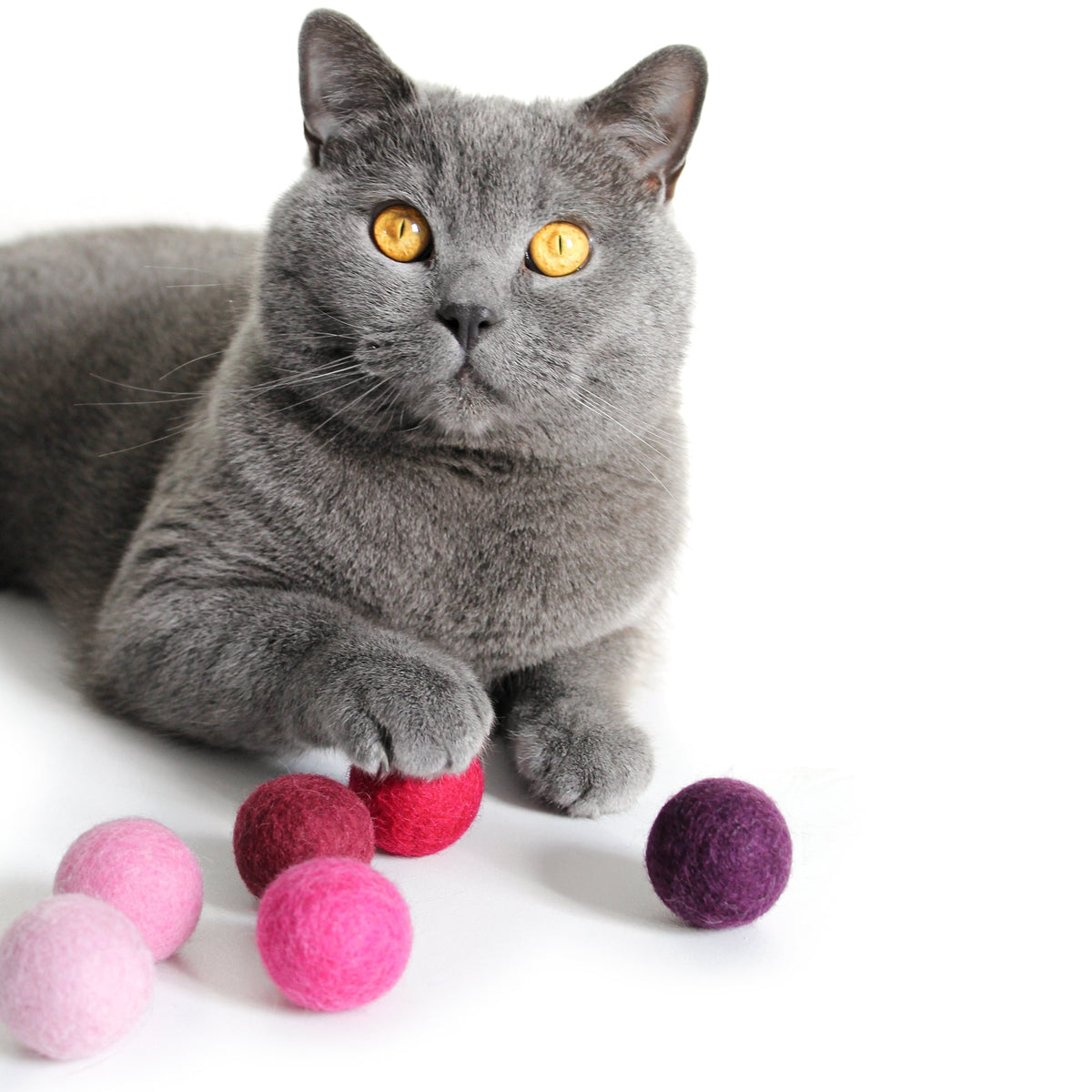 Magenta Katzen Spielzeug Bällchen 
